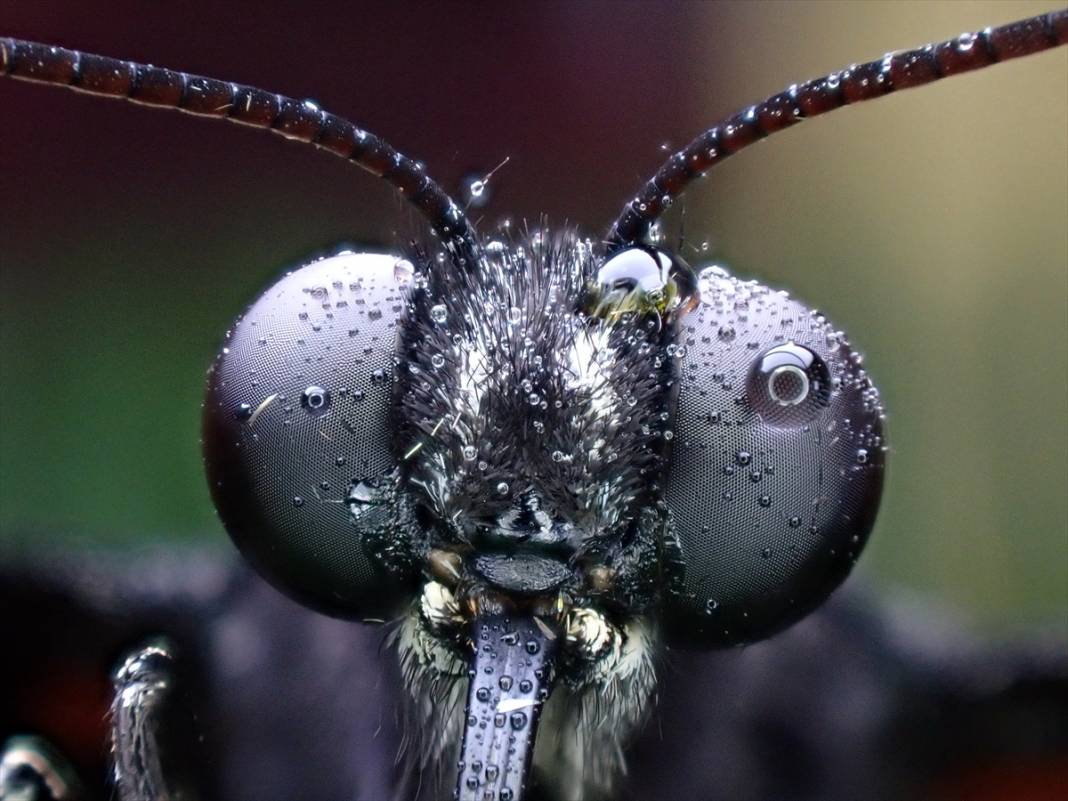 Konya’nın ünlü bahçesindeki detaylar tüyler ürpertti: İyi ki küçükler 2